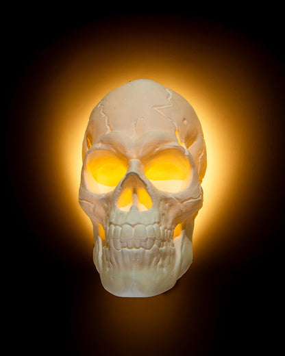 Skull Wall Light