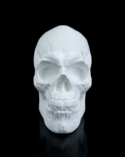 Skull Wall Light