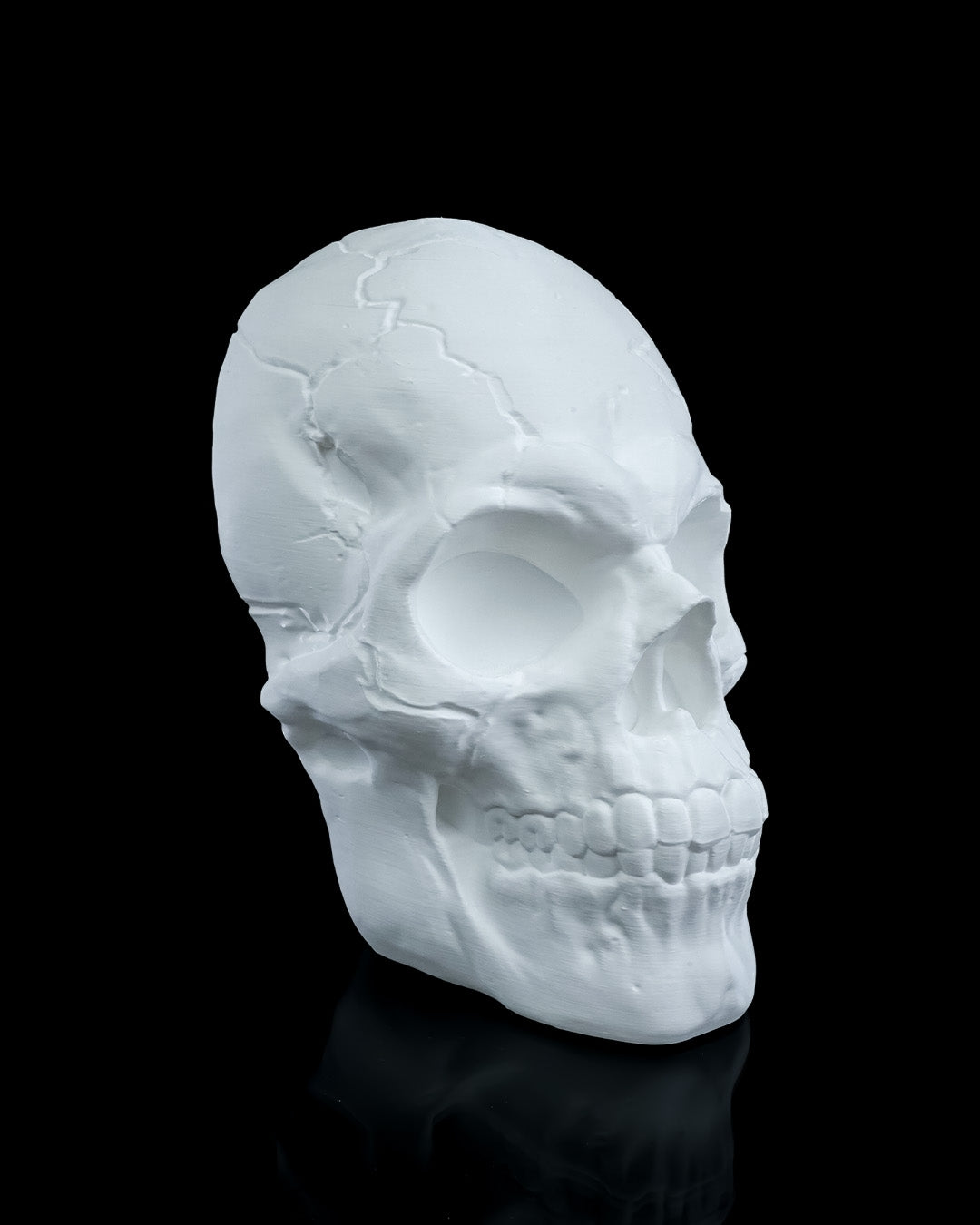 Skull Wall Light