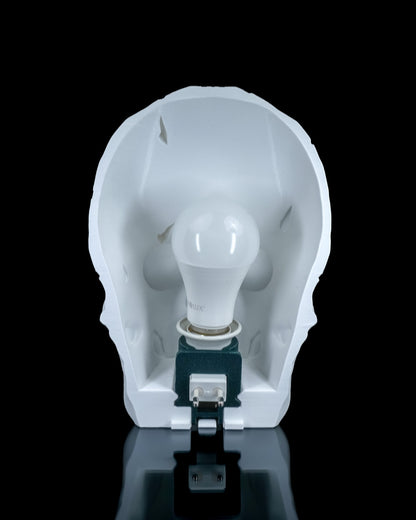 Skull Wall Light