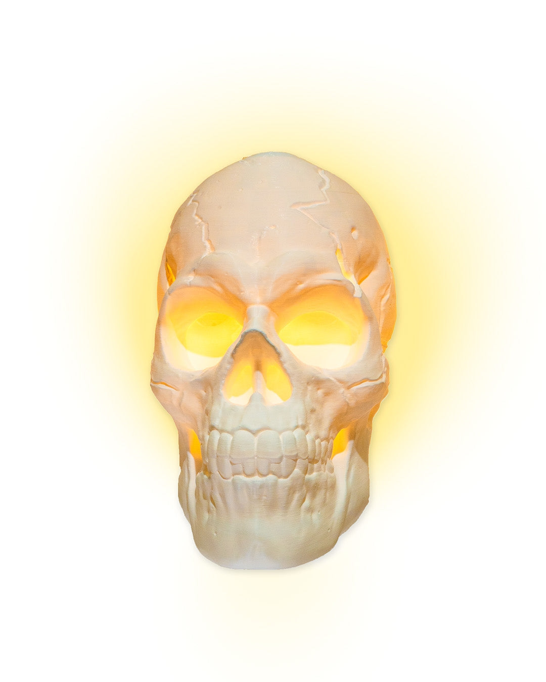 Skull Wall Light