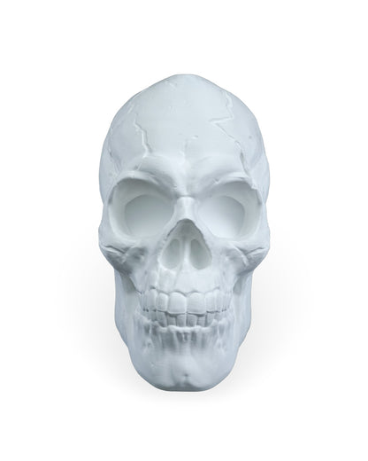 Skull Wall Light