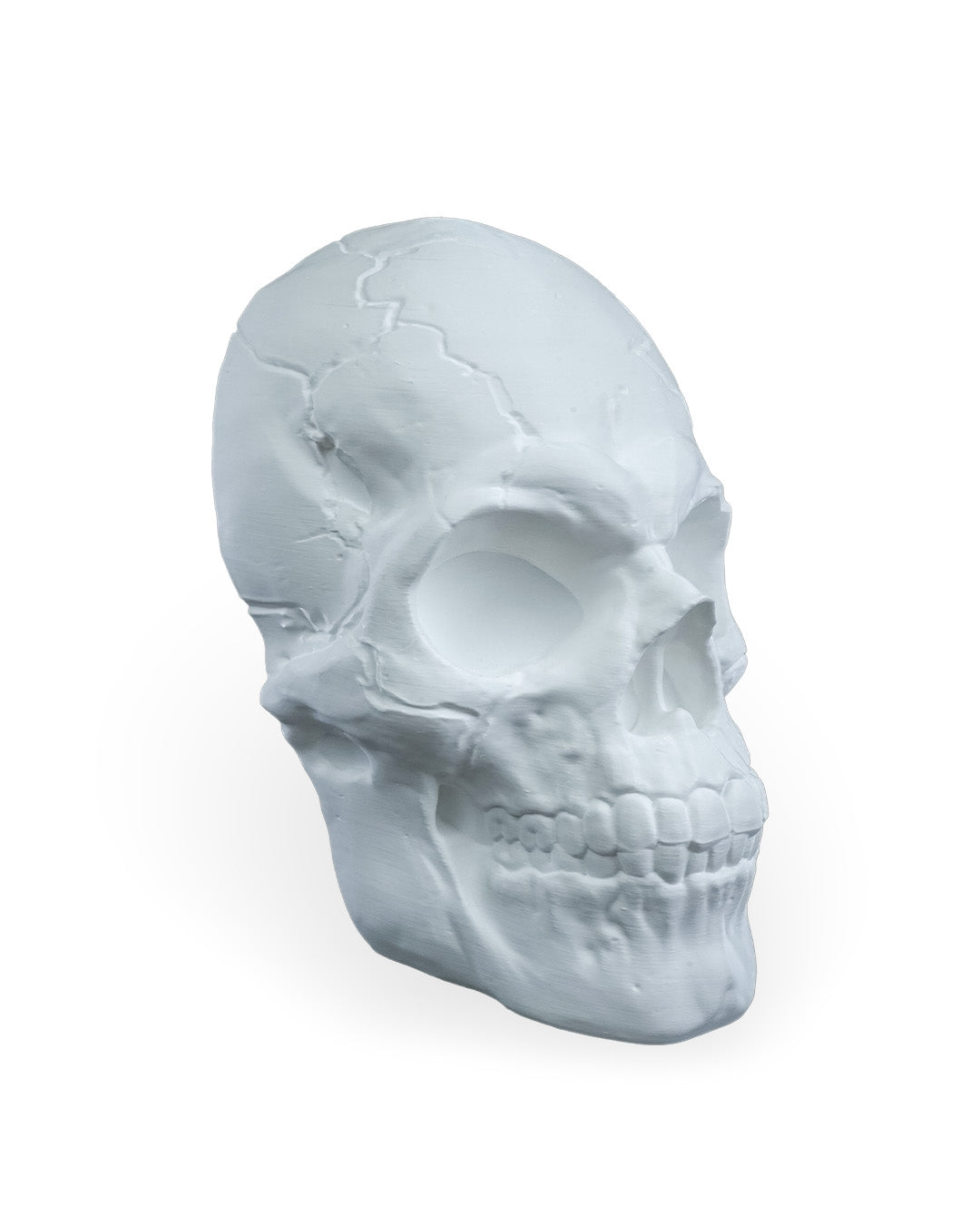 Skull Wall Light