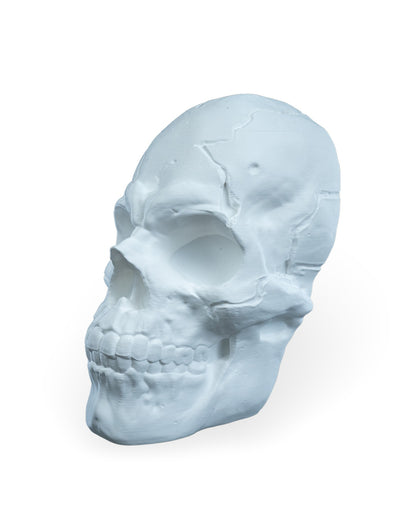 Skull Wall Light